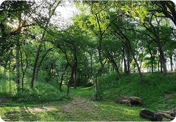 Nature Trails