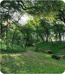 Nature Trails